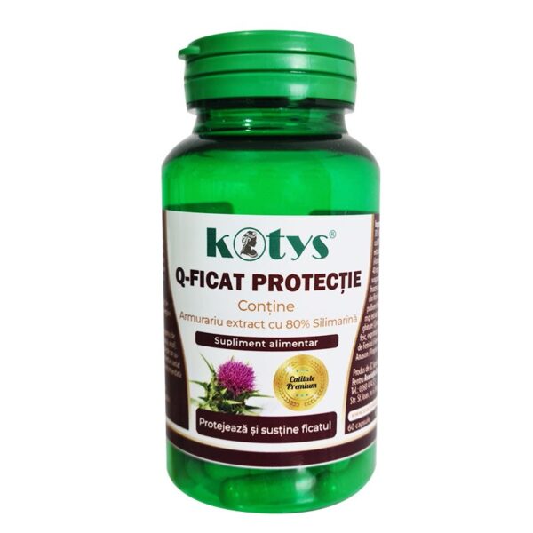 Q-Ficat protecție 60cps Kotys